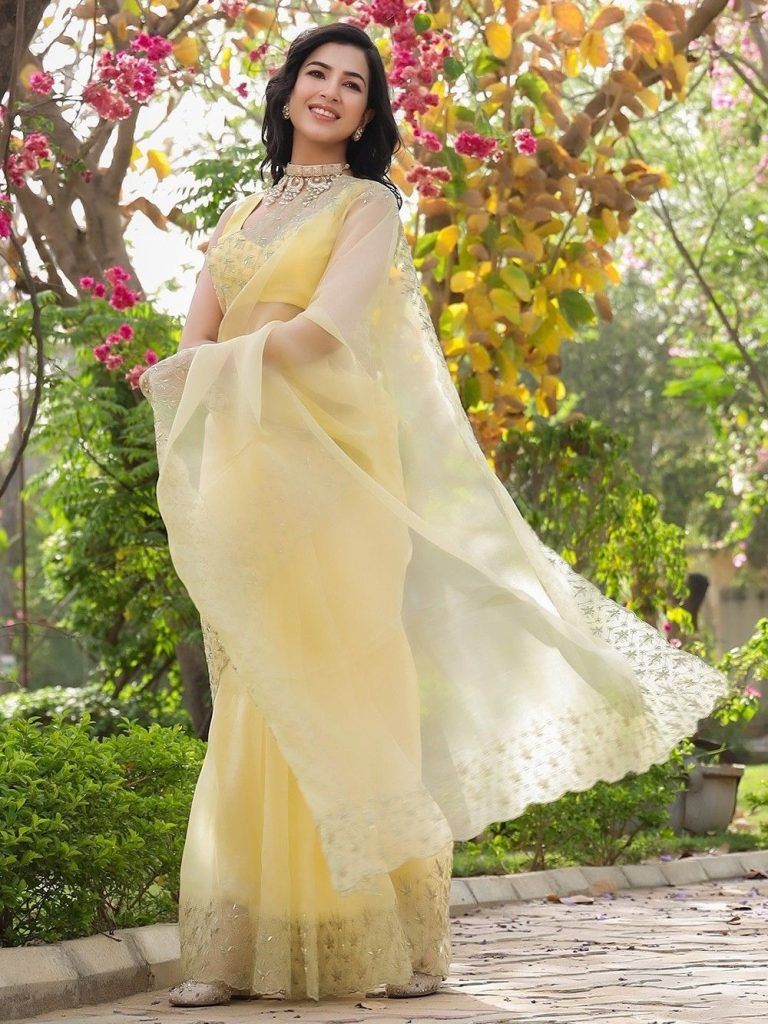 Yellow Aari Embroidered Organza Saree