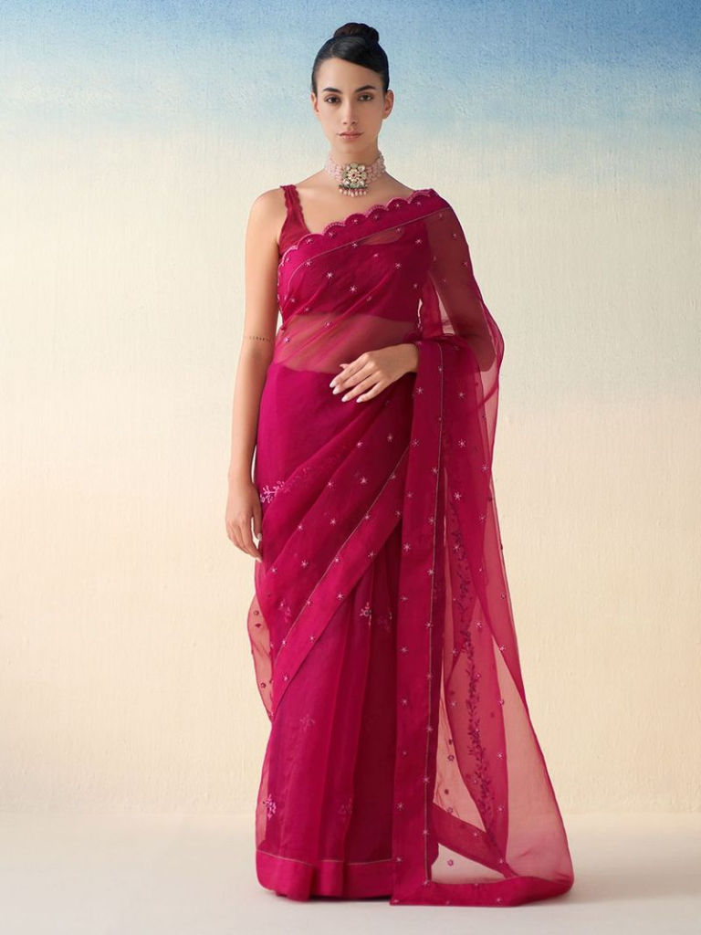 Wine Embroidered Organza Saree with Underskirt