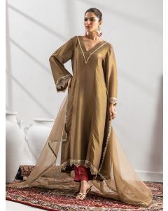 Brown Embroidered Tissue Suit- Set of 3