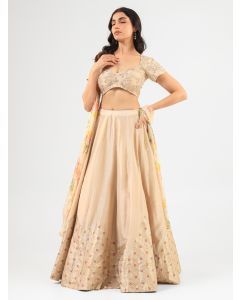Beige Zardozi Hand Embroidered Silk Lehenga Set - Set of 3