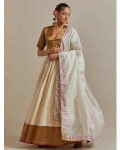 Golden Chanderi Lehenga Set- Set of 3