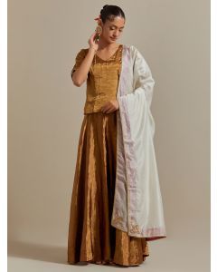 Golden Embroidered Chanderi Lehenga Set- Set of 3