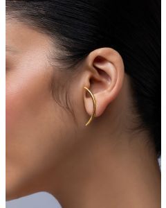 Gold Plated Handcrafted Brass Earrings