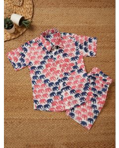 Pink Blue Hand Block Printed Cotton Unisex Co-ord Set - Set of 2