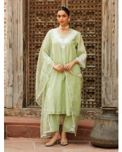 Pista Green Printed Organza Dupatta