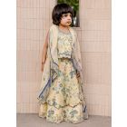 Yellow Printed Chiffon Lehenga Set - Set of 3