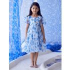 Blue White Printed Organza Dress
