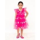 Pink Embroidered Net Dress