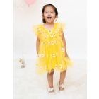 Yellow Embroidered Net Dress
