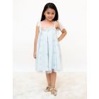 Blue Embroidered Net Dress