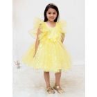 Yellow Embroidered Net Dress