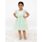 Green Embroidered Net Dress