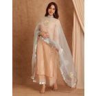 Powder Blue Mukaish Organza Dupatta