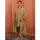 Pastel Green Tissue Silk Suit - Set of 3
