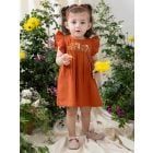 Rust Embroidered Cotton Dress with Bloomer and Headband- Set of 3