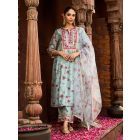 Powder Blue Printed Organza Dupatta
