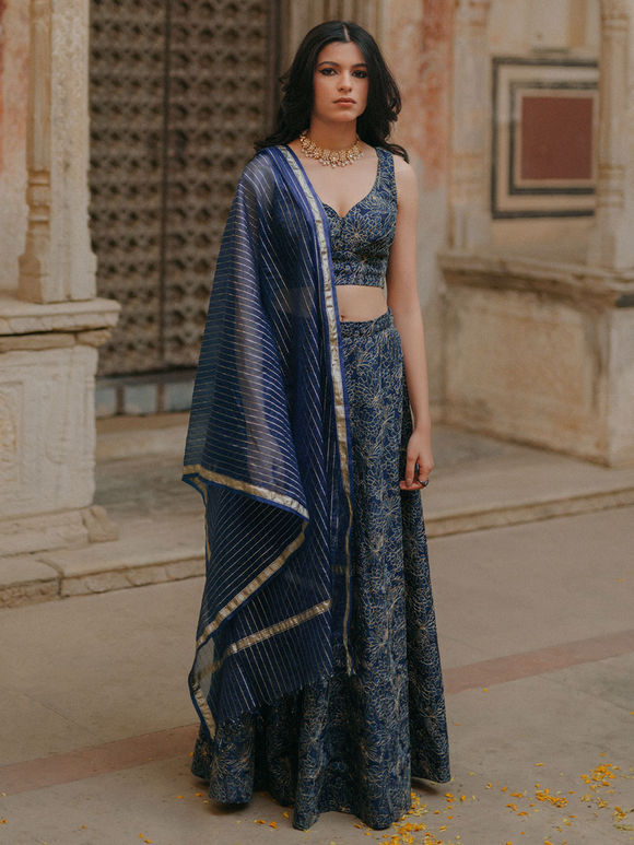 Blue Grey Printed Silk Blend Embroidered Blouse with Lehenga and Organza Dupatta - Set of 3