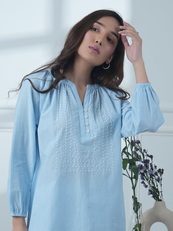 Blue Embroidered Cotton Top